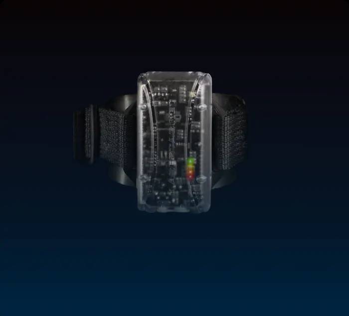 Scorpion shock-band